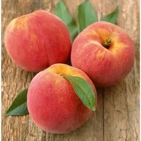 GEORGIA PEACH