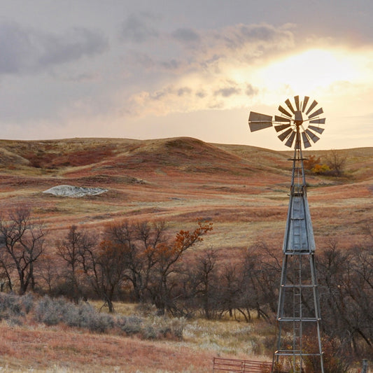DUSTY MEXICAN MORNING